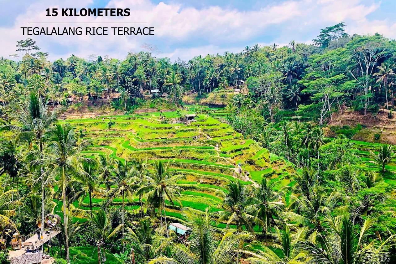 Anyuta Rai Villa Ubud Экстерьер фото